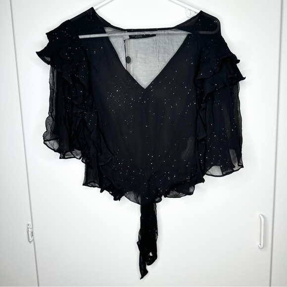 NWT IRO Lonila Ruffled Glittered Chiffon Top Size 40 Retail $670 - Picture 8 of 10